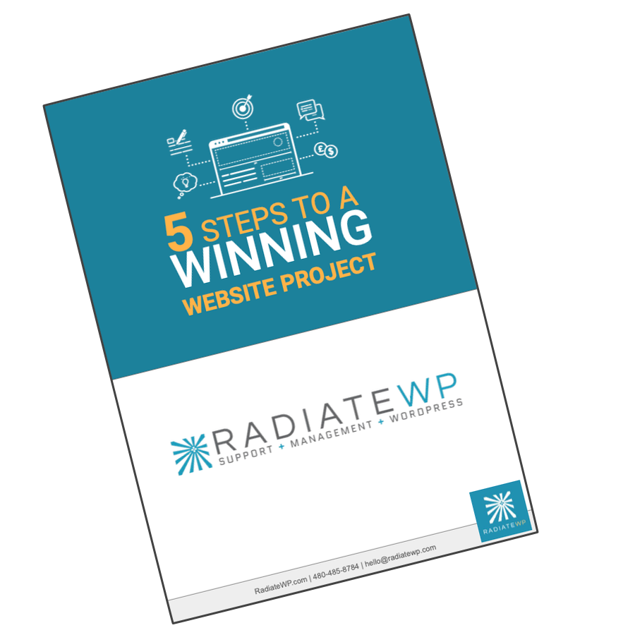 Cover of a guide called 5 Steps to a Winning Website Project