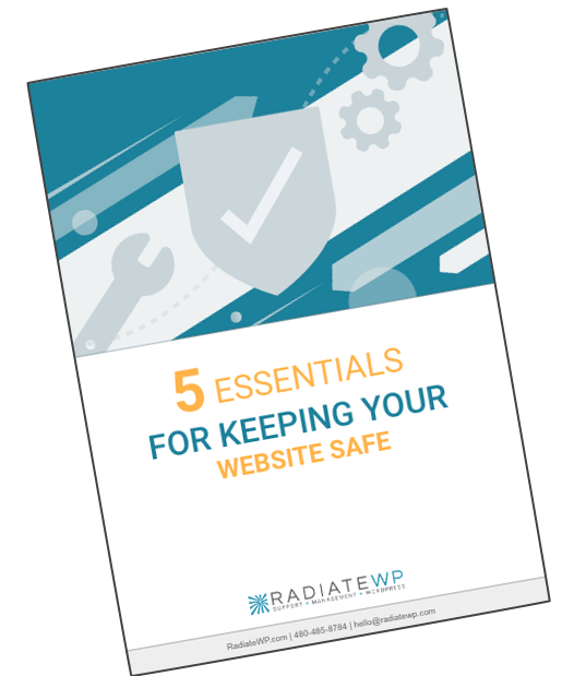 Cover of a guide called 5 Essentials for Keeping Your Website Safe